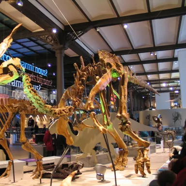 Olorotitan