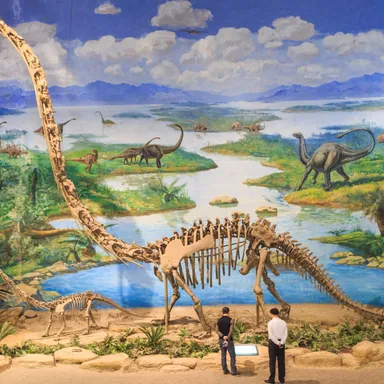 Omeisaurus