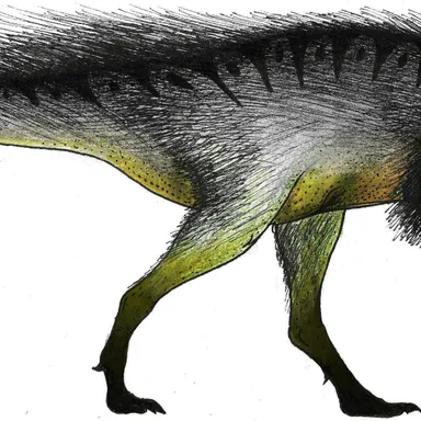 Orkoraptor