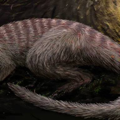 Oryctodromeus