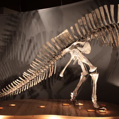 Ouranosaurus