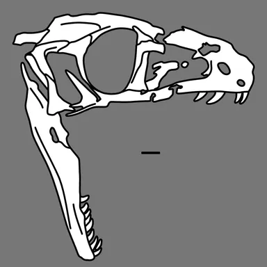 Panguraptor