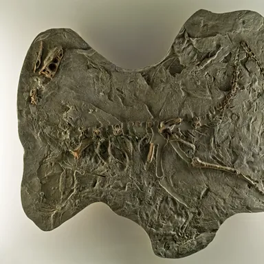 Panphagia