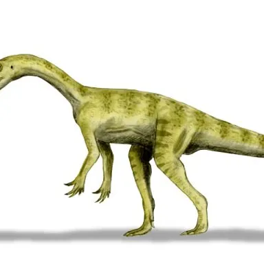 Pantydraco