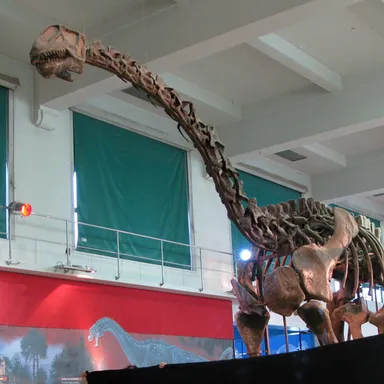 Patagosaurus