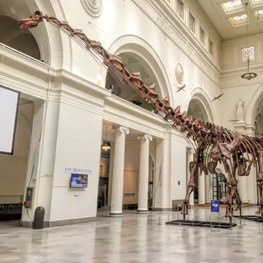 Patagotitan