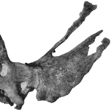 Pentaceratops