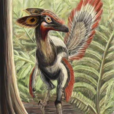 Philovenator