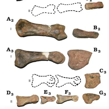 Phuwiangvenator