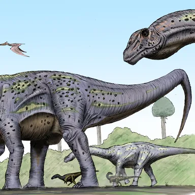 Pitekunsaurus