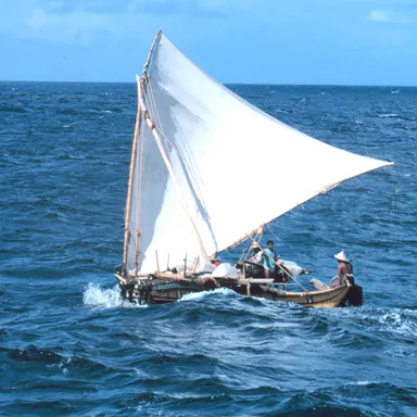 Proa