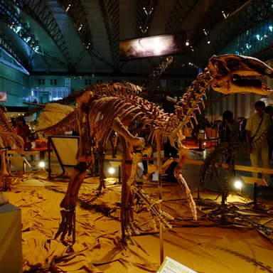 Probactrosaurus