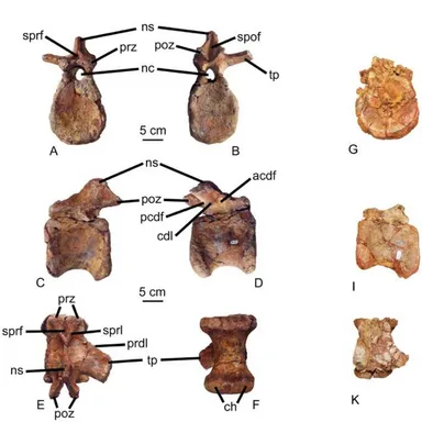 Protathlitis