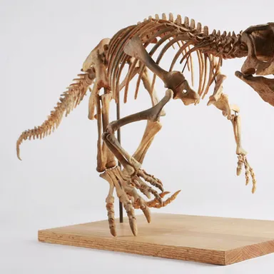 Psittacosaurus