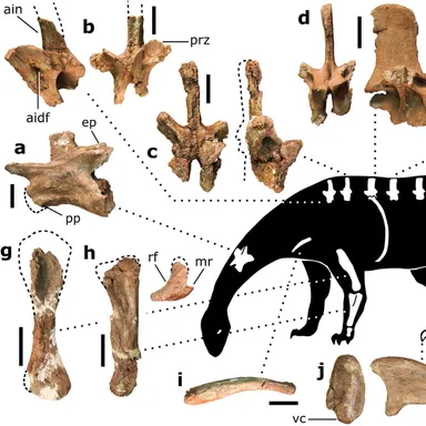 Pulanesaura