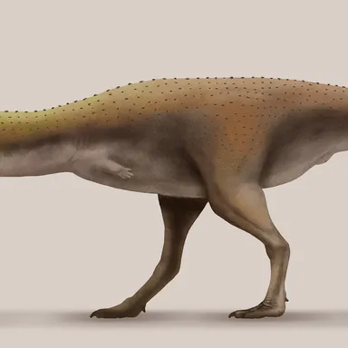 Rahiolisaurus