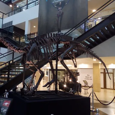 Ratchasimasaurus