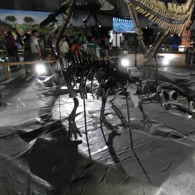 Rhabdodon