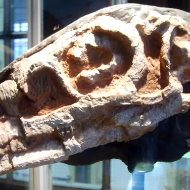 Riojasaurus