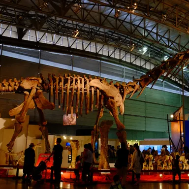 Ruyangosaurus