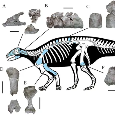 Yuxisaurus