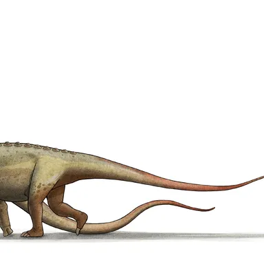 Saltasaurus