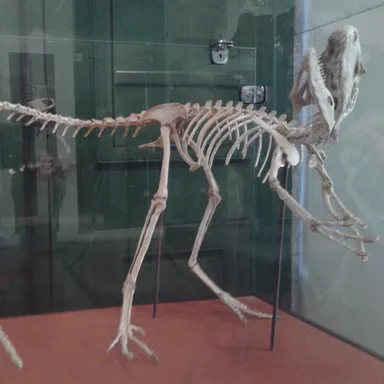 Santanaraptor