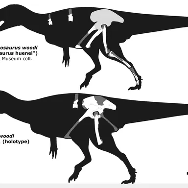 Sarcosaurus