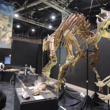 Saurolophus