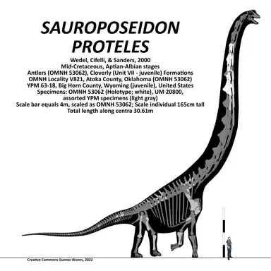 Sauroposeidon