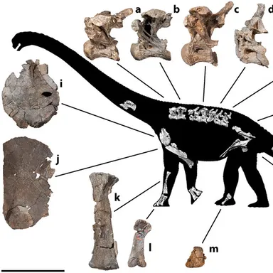 Savannasaurus