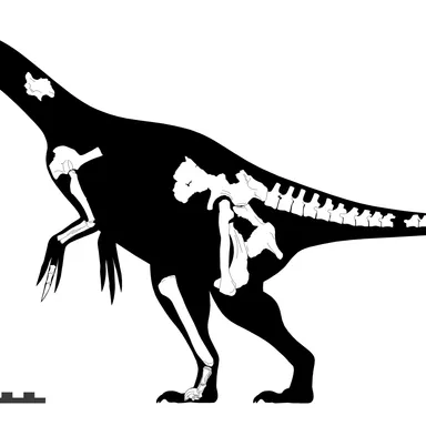 Segnosaurus