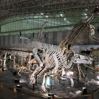 Shantungosaurus
