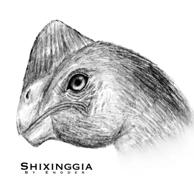 Shixinggia