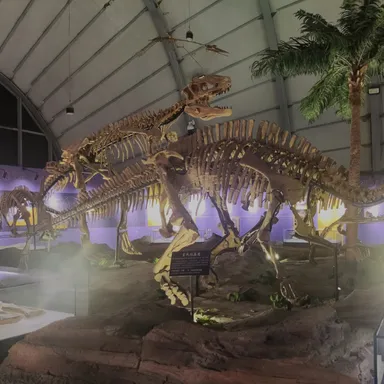 Shuangmiaosaurus