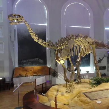 Shunosaurus