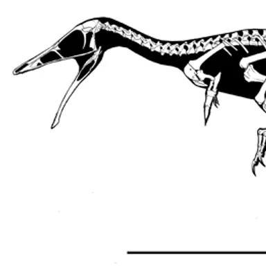 Shuvuuia