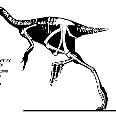 Similicaudipteryx