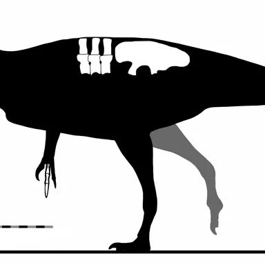 Sinotyrannus