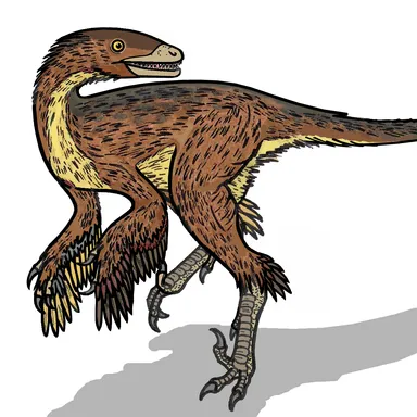Sinusonasus