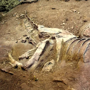 Skorpiovenator