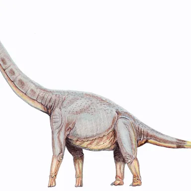 Sonorasaurus
