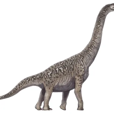 Soriatitan