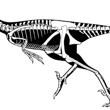 Stenonychosaurus