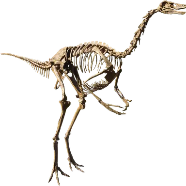 Struthiomimus