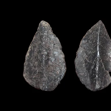 Struthiosaurus