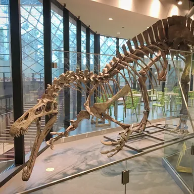 Suchomimus