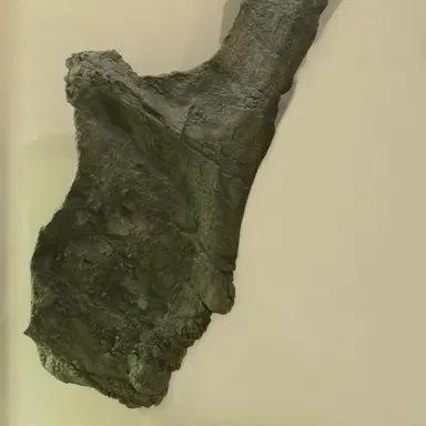 Supersaurus