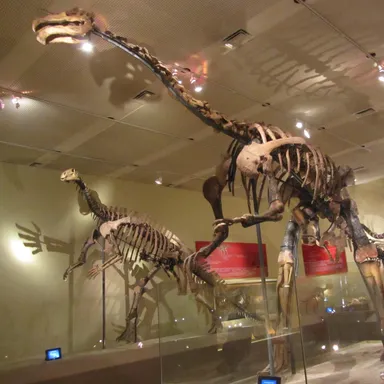 Suzhousaurus