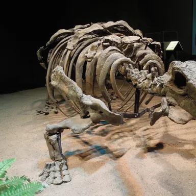 Talarurus